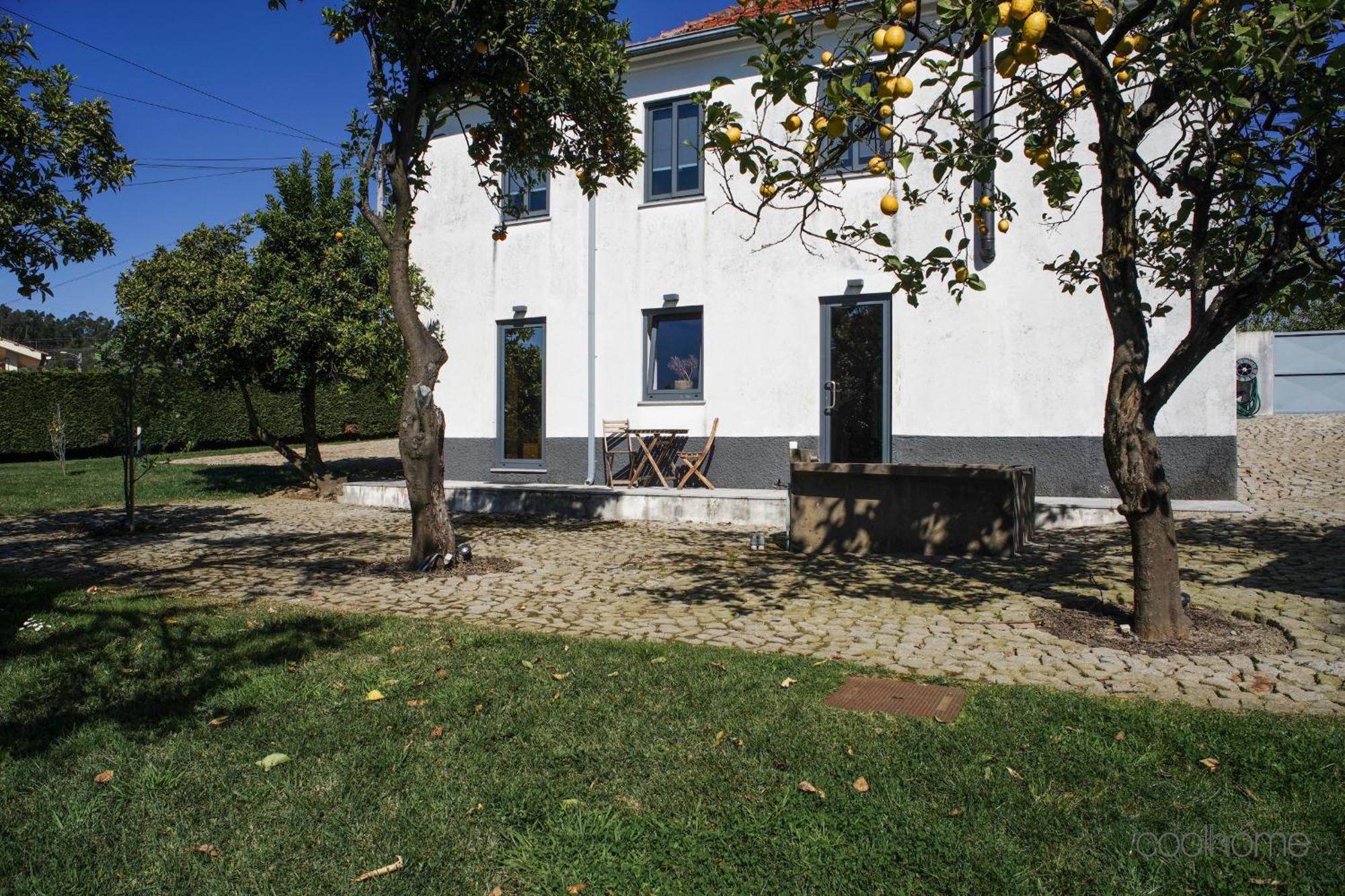 Villa 12 Casa D'Avo à Albergaria-a-Velha Extérieur photo